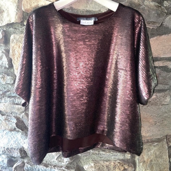 Cesar Galindo Coco Brown Matte Sequined Top - Picture 3 of 3